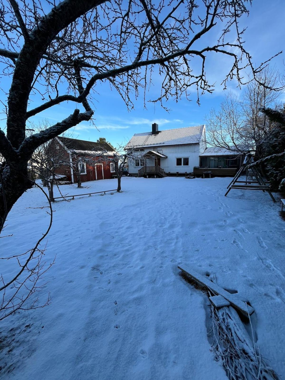 Older Villa With Large Garden Trondheim Exterior photo
